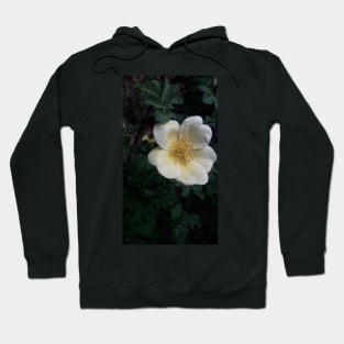 Flower Blossom Photograph Hoodie